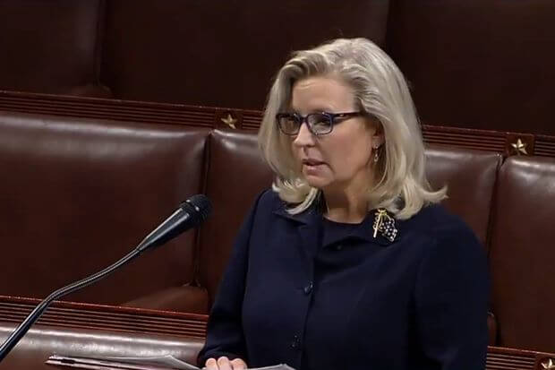 Statement New Billboard To Hold Congresswoman Mary Miller Accountable Idcca